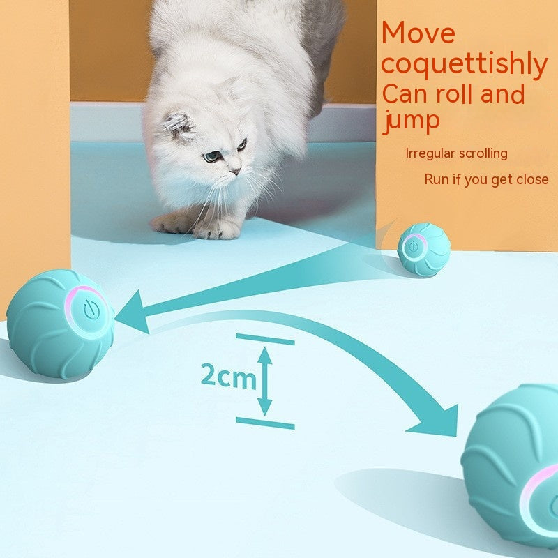 Automatic Bouncing Ball for Cats