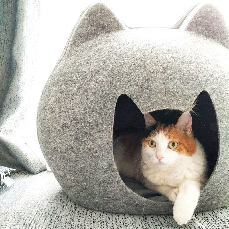 Enclosed Cat House