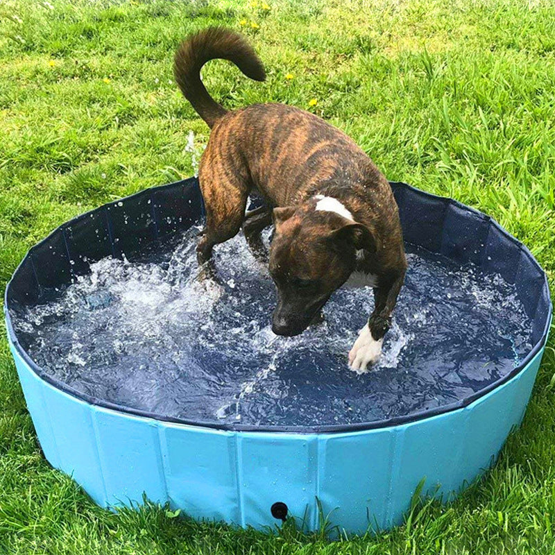 Foldable Dog Pool