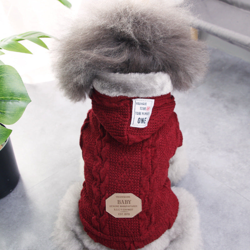 Teddy Dog Sweater