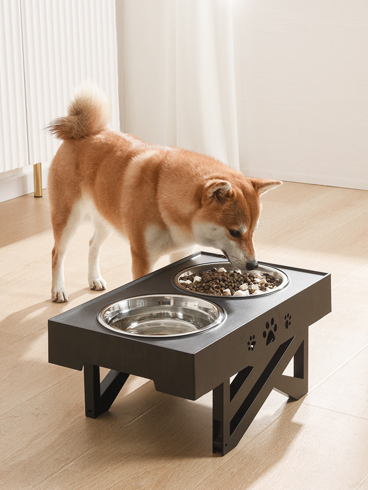 Folding Dog Food Bowl