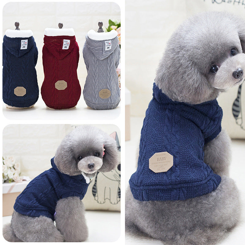 Teddy Dog Sweater