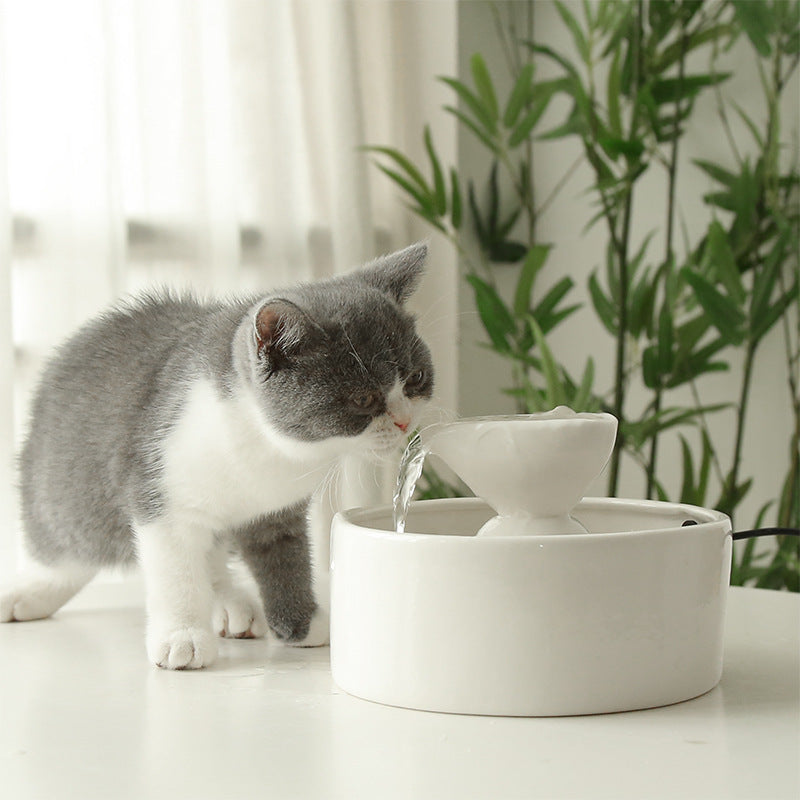 Drinking Fountain For Cats