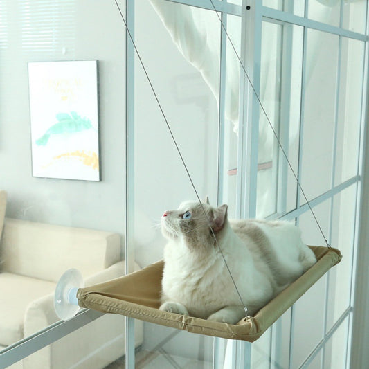 Swing Suction Cat Bed