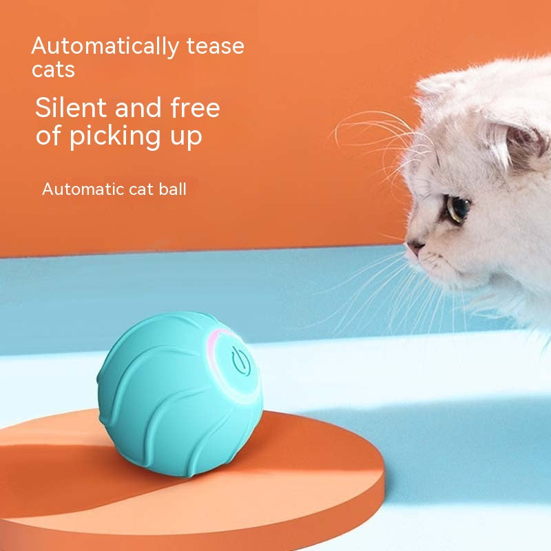 Automatic Bouncing Ball for Cats