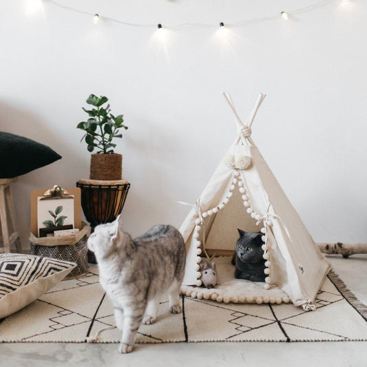 Cat Tent