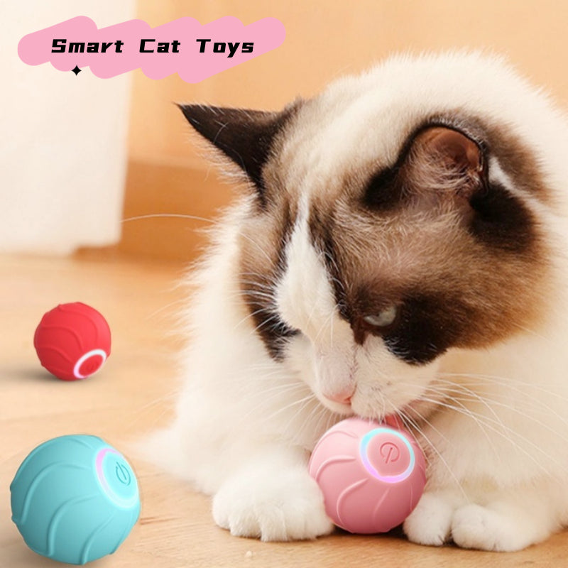 Automatic Bouncing Ball for Cats