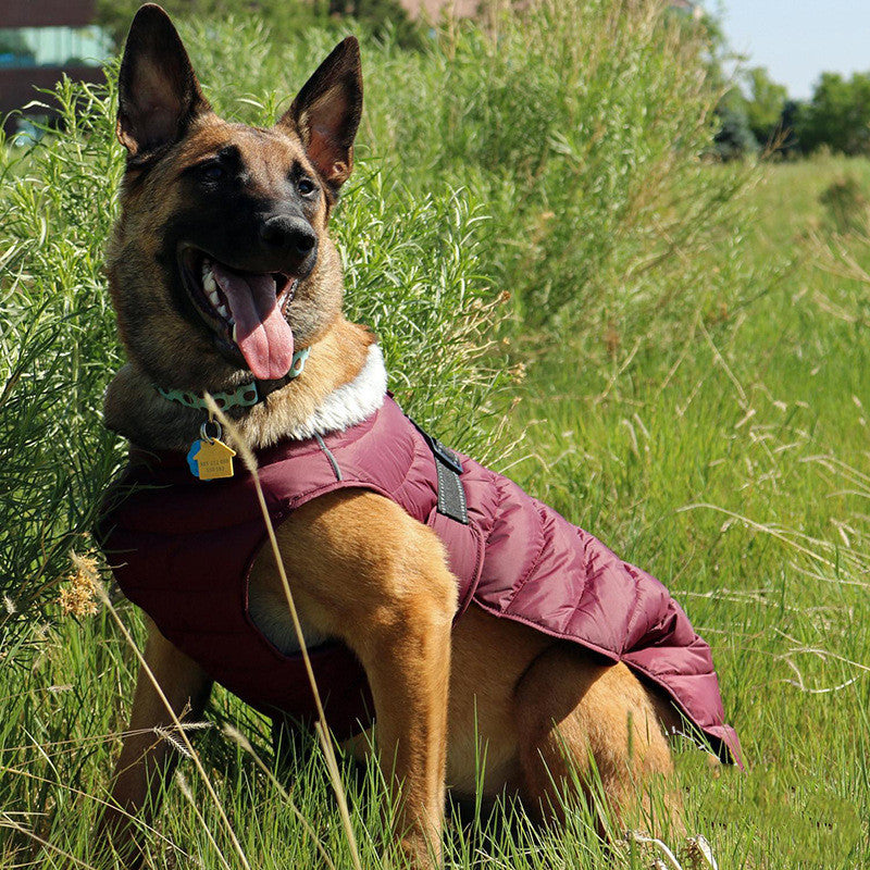 Cotton Jacket For Large Dogs