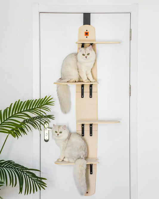 Mewoofun Étagères grimpantes polyvalentes à 4 niveaux pour chat Arbre à chat vertical monté sur porte