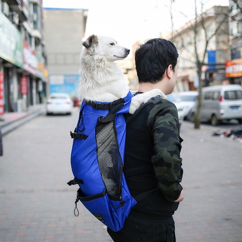 Outdoor Backpack Dog Carrier