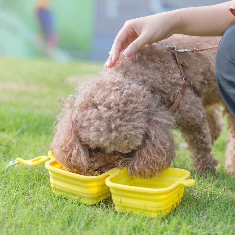 Foldable Travel Bowl For Dogs