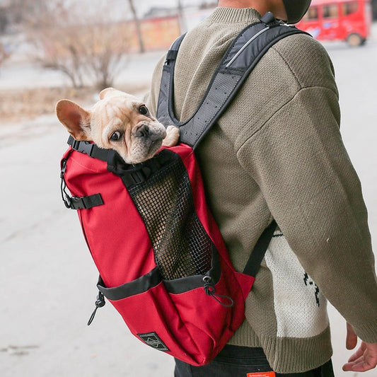 Outdoor Backpack Dog Carrier