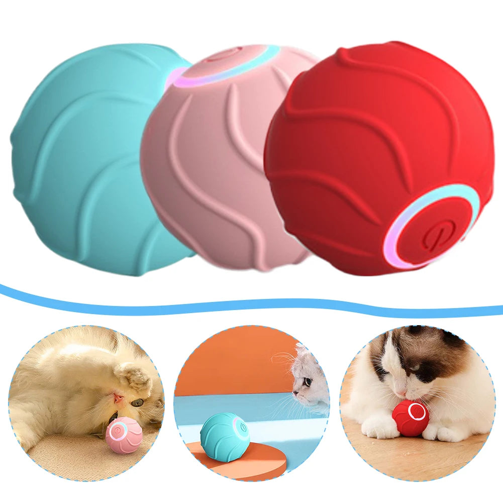 Automatic Bouncing Ball for Cats