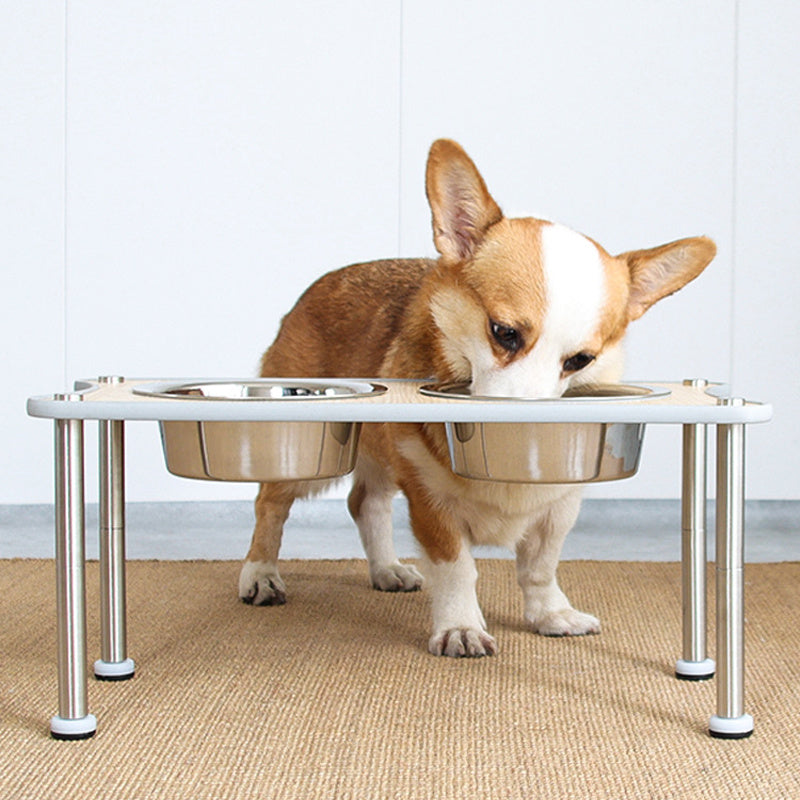 Adjustable Height Food Bowl For Dogs