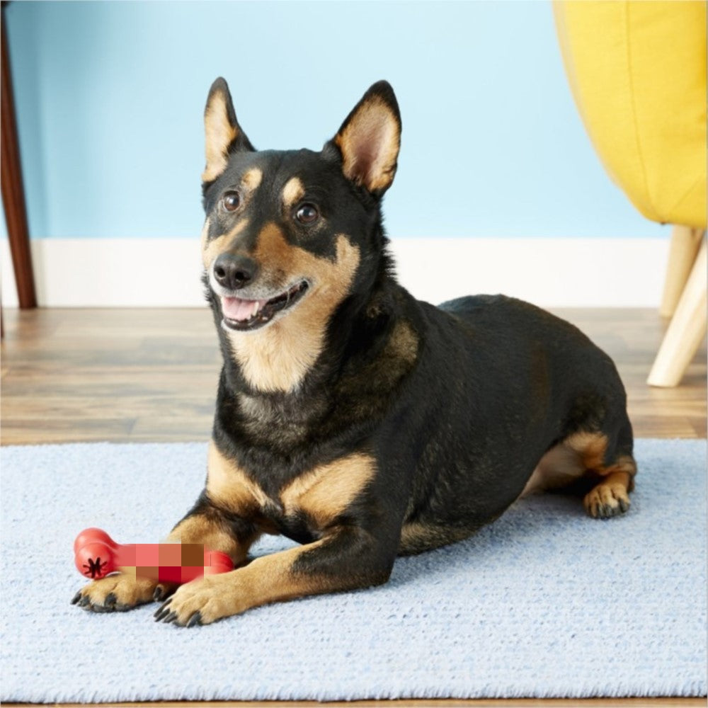 Bite Resistant Bone For Dogs