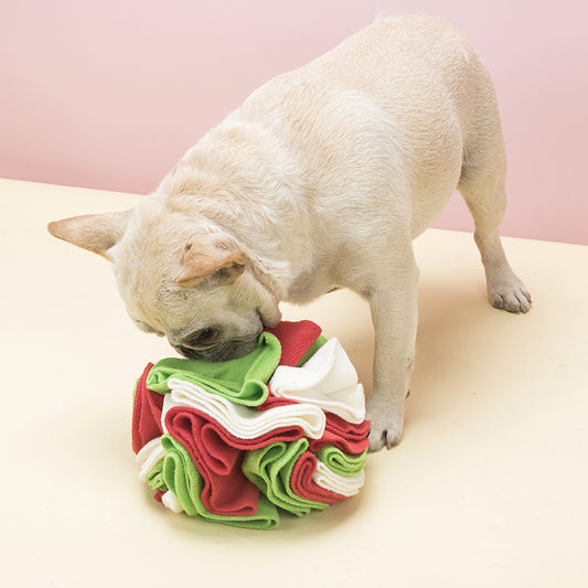 Dog Sniffing Blanket